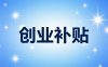 本地企业官网补贴申报 + 网站搭建一站式服务