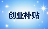 本地企业官网补贴申报 + 网站搭建一站式服务