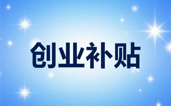 本地企业官网补贴申报 + 网站搭建一站式服务