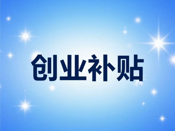 本地企业官网补贴申报 + 网站搭建一站式服务